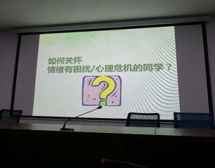 草莓视频