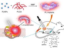 草莓视频
生物医学工程学院黄鹏特聘教授团队在《ACS Nano》发表文章