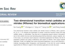 草莓视频
生物医学工程学院黄鹏特聘教授团队在《Chemical Society Reviews》发表重要综述