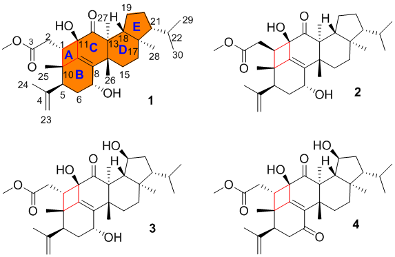 草莓视频