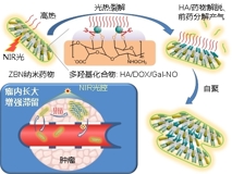 草莓视频
何前军教授团队在国际顶级学术期刊《Advanced Materials》上发表文章