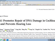 草莓视频
裴新海教授团队在《Journal of Neuroscience》发表BRCA1修复毛细胞DNA损伤研究成果