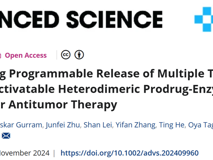 草莓视频
林静教授团队在Advanced Science发表异二聚体前药酶组装体用于释放抗肿瘤制剂的研究成果