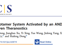 草莓视频
董海峰教授团队在J. Am. Chem. Soc.发表了一种基于“与”逻辑门的诊疗新策略研究成果