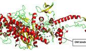 Identification of novel phytotherapeutic agents for understanding hypertrophic cardiomyopathy via genetic mapping and advanced computational analysis