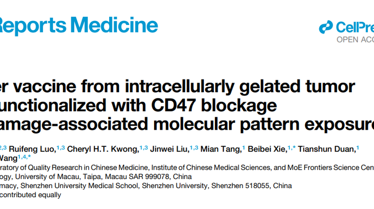 草莓视频
高成助理教授在Cell Reports Medicine发表胞内凝胶化全肿瘤细胞疫苗研究成果