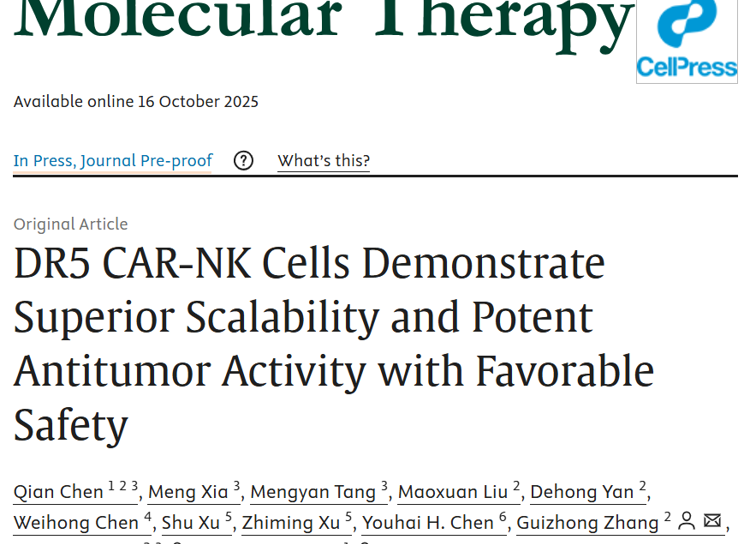草莓视频
朱卫国教授团队在Molecular Therapy发表关于DR5靶向抗肿瘤疗法新进展研究成果
