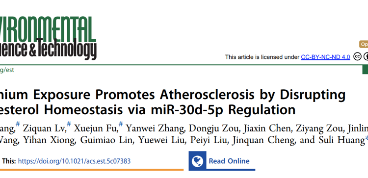 草莓视频
黄素丽副教授团队在自然指数期刊Environmental Science & Technology发文解析重金属镉暴露致缺血性脑卒中的新机制