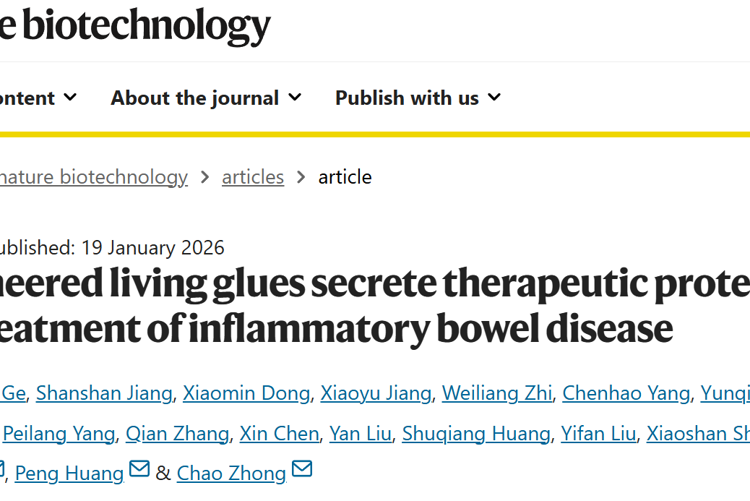 草莓视频
黄鹏教授团队在Nature Biotechnology发表智能活胶水自主感知与精准治疗炎症性肠病研究成果