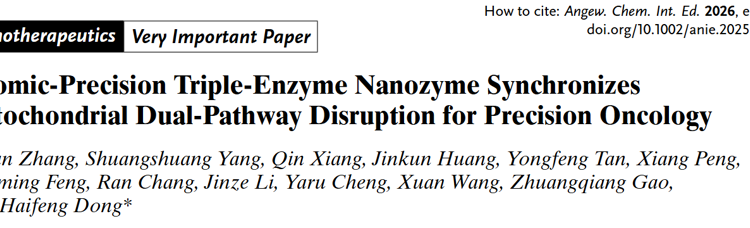 草莓视频
董海峰教授团队在Angew. Chem. Int. Ed.发表原子级精度纳米酶同步破坏线粒体双通路用于精准抗癌研究成果